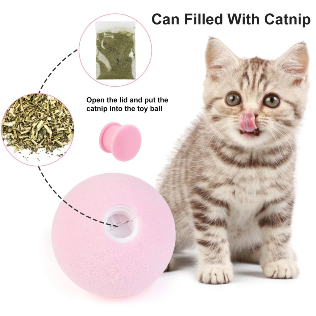 Cat Training Squeaky Ball Toy Smart Cat Toys Interactive Ball Catnip Pet Playing Pet Supplies Products Toy for Cats Kitten Kitty