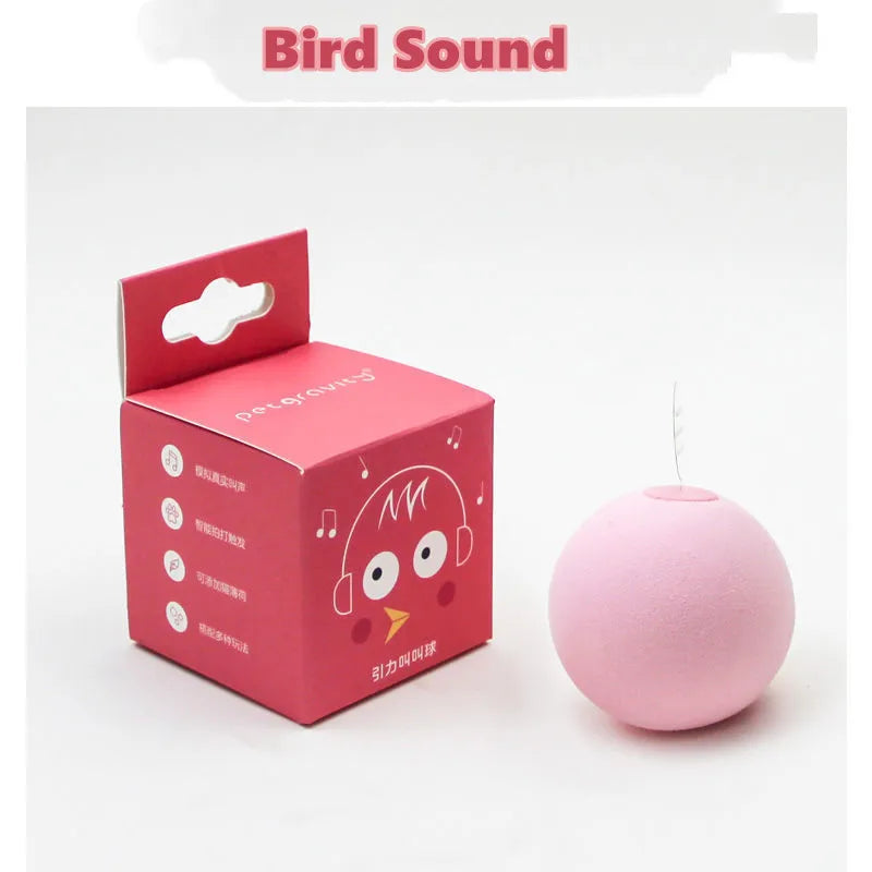 Cat Training Squeaky Ball Toy Smart Cat Toys Interactive Ball Catnip Pet Playing Pet Supplies Products Toy for Cats Kitten Kitty