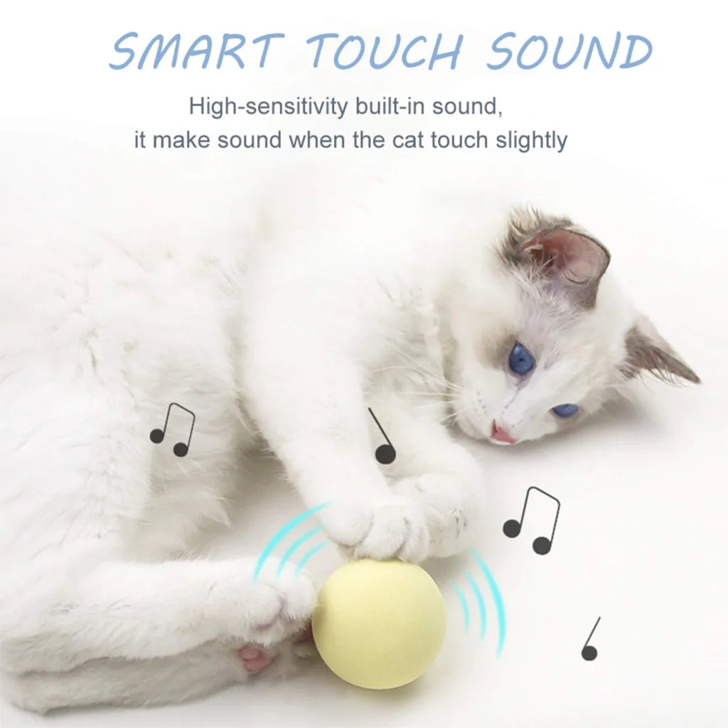 Cat Training Squeaky Ball Toy Smart Cat Toys Interactive Ball Catnip Pet Playing Pet Supplies Products Toy for Cats Kitten Kitty
