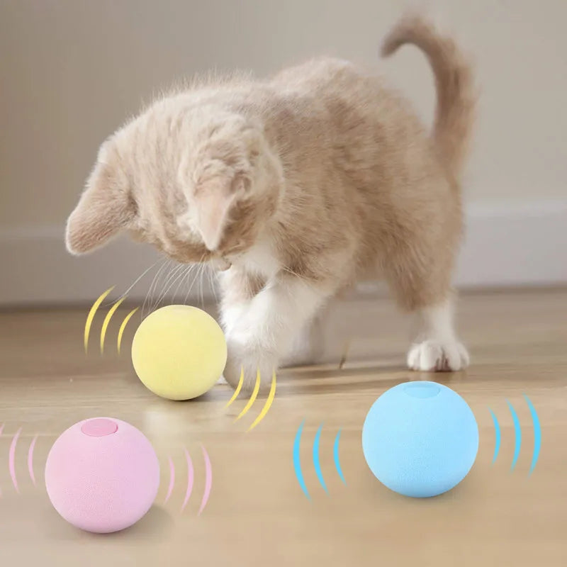 Cat Training Squeaky Ball Toy Smart Cat Toys Interactive Ball Catnip Pet Playing Pet Supplies Products Toy for Cats Kitten Kitty