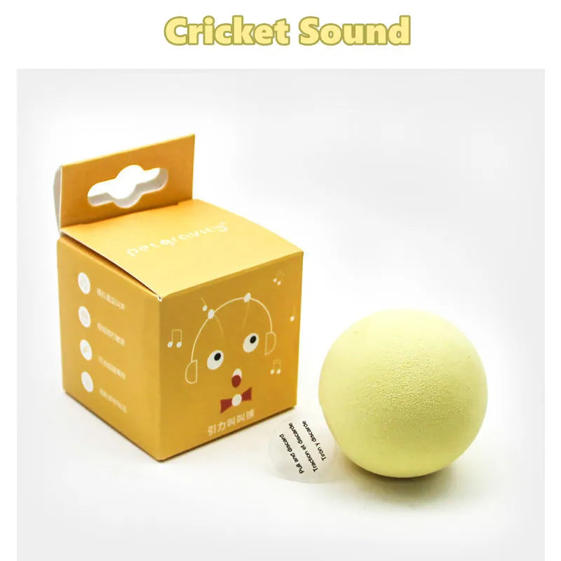 Cat Training Squeaky Ball Toy Smart Cat Toys Interactive Ball Catnip Pet Playing Pet Supplies Products Toy for Cats Kitten Kitty